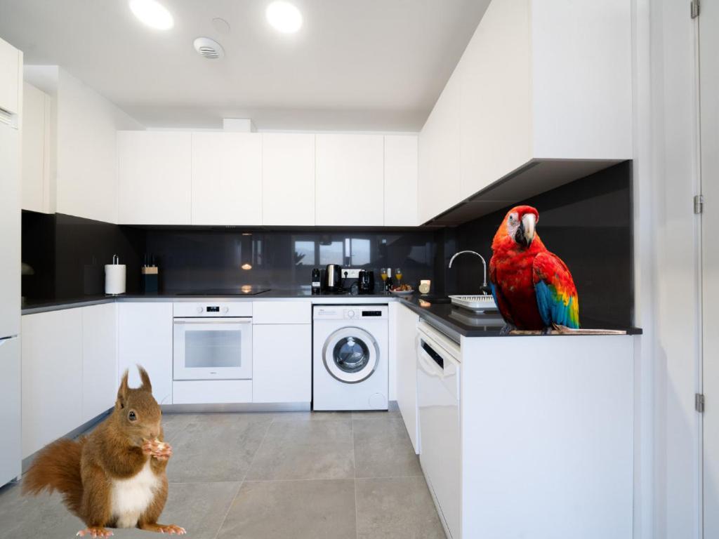 Xpce Urban 4 Malaga Skyline - Free Parking Apartment Exterior photo
